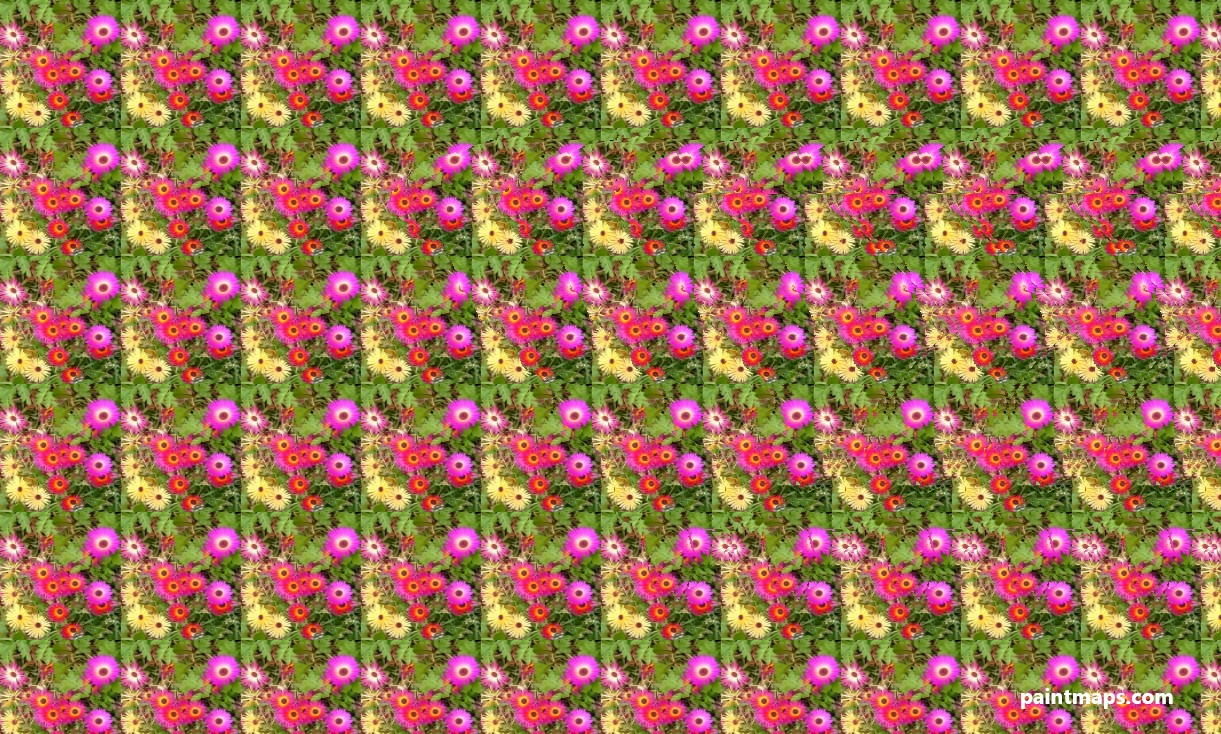 Guney-Carolina Haritası - 3D Stereogram (Şaşı Bak Şaşır)
